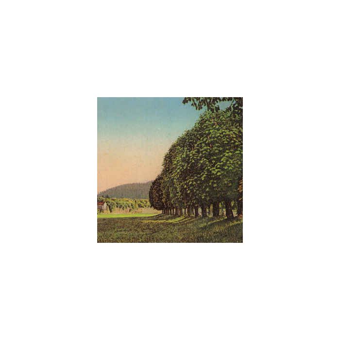 Andrew Chalk – Time Of Hayfield レコード Andrew Chalk – Time Of Hayfield レコード