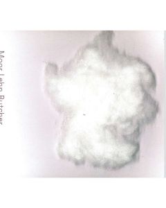 ANDY MOOR/THOMAS LEHN/JOHN BUTCHER