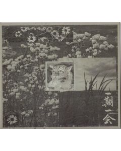 BOSSES HANG & GOVERNMENT ALPHA & TORTURING NURSE & ASTRO & VOMIR