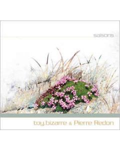 TOY BIZARRE & PIERRE REDON - aatp24 - Germany - aufabwegen - CD - Saisons