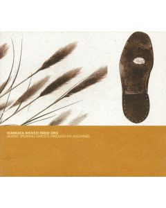 FABIO ORSI/GIANLUCA BECUZZI - ASP12 - Italy - A Silent Place - CD - Muddy Speaking