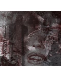 N(32)/MEINEIN/VISCERA