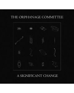 THE ORPHANAGE COMMITTEE