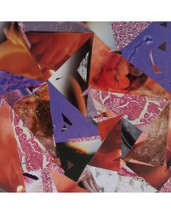 FALLEN SUN/SACHER-PELZ/THOMAS BEY WILLIAM BAILEY