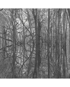 ARTIFICIAL MEMORY TRACE - mv37 - Russia - Monochrome Vision - CD - Ama_Zone1: Black-Waters
