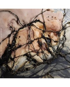 GEORG ZICHY/REINHOLD FRIEDL