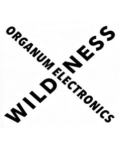 ORGANUM ELECTRONICS