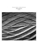 FRANCE JOBIN + FABIO PERLETTA - der010 - USA - Dragon's Eye Recordings - CD - Mirror Neurons