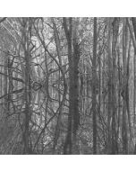 ARTIFICIAL MEMORY TRACE - mv37 - Russia - Monochrome Vision - CD - Ama_Zone1: Black-Waters