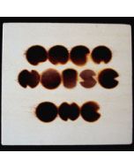 VARIOUS - pnp10 - Germany - Paranoise Records - CD - Paranoise One