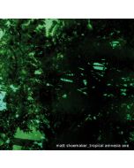 MATT SHOEMAKER - stern_01 - France - ferns recordings - CD - Tropical Amnesia One